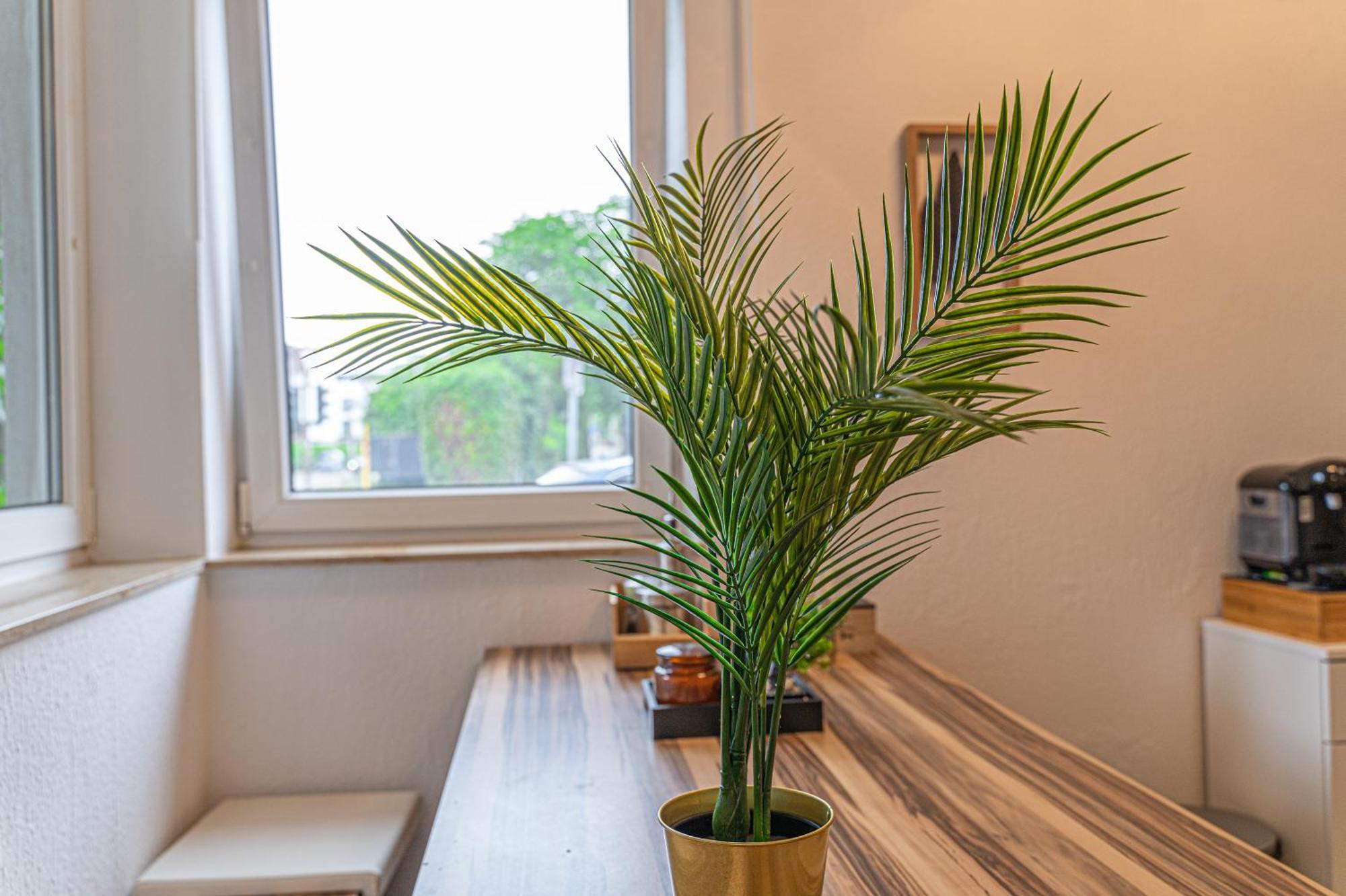 Apartment Wesseling Apartment Wesseling